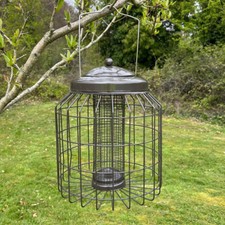 Squirrel Proof Hanging Bird