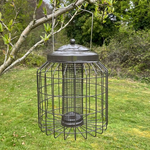 Squirrel proof hanging bird - proof,