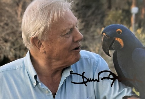 Genuine sir david attenborough - david,