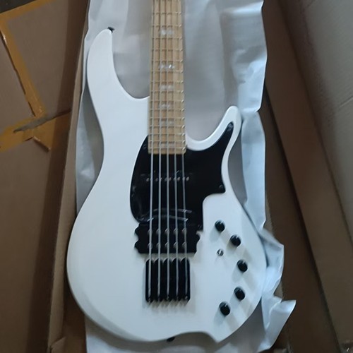 Custom string gloss white - 5-string,