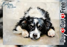Gentle Border Collie 5"x7"