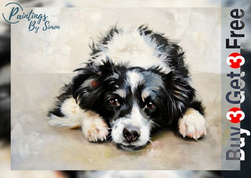 Gentle border collie - collie, 5"x7"