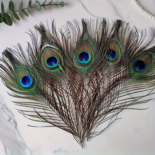 Natural Peacock Fly Tying