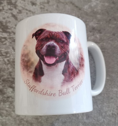 Staffordshire bull terrier - terrier, 11