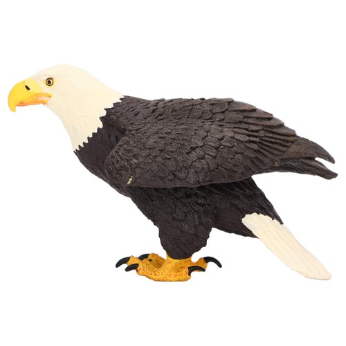 Bald eagle decoration - bald,