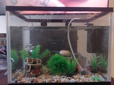 LED Glass Aquarium Fish Tank Starter Kit, everything you need!