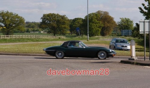 Photo type jaguar iconic - e,