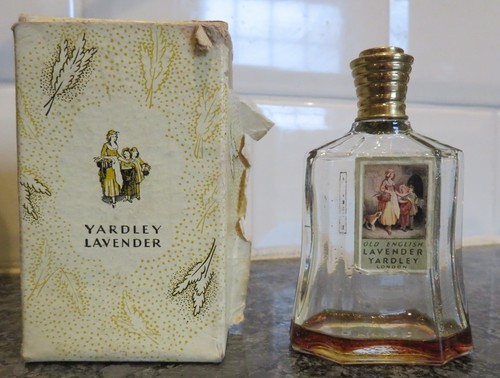 Vintage old english lavender - old,