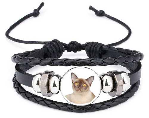 Burmese cat pet black leather - cat,