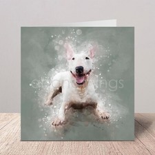 English bull terrier - english, |