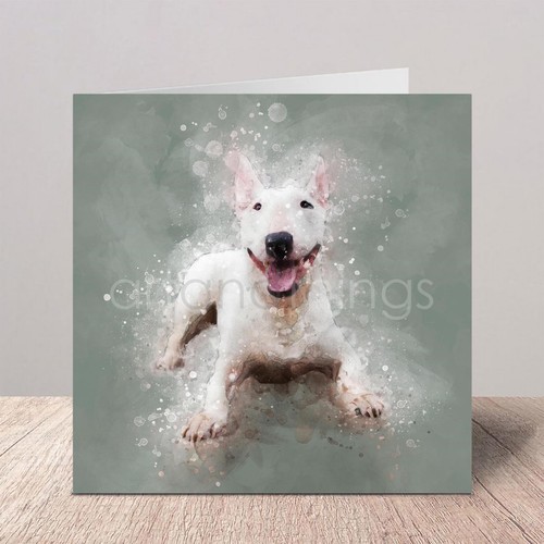 English bull terrier - english,
