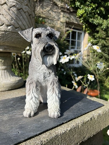 Large schnauzer dog statue - large,