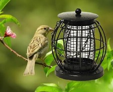 Lantern Wild Bird Nut Feeder