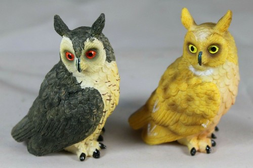 Long eared owl - long,