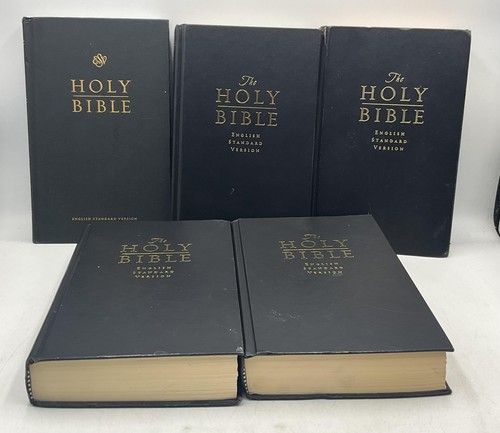 The holy bible various authors - bible,