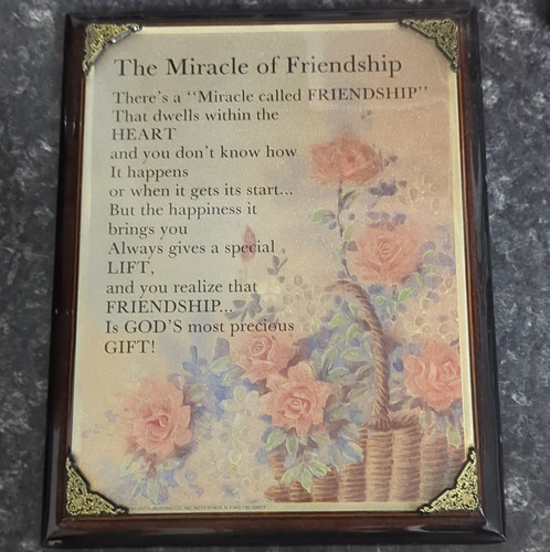 Framed wall mounted plaque - framed,