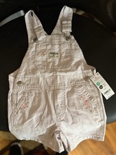 Bib Shorts