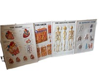 Rare Set Of Four Vintage