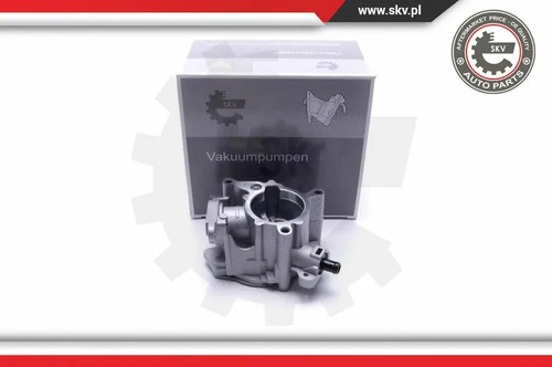 Vacuum pump braking system - pump,