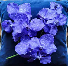 Artificial Dark Purple Vanda Orchids 3 heads per stem
