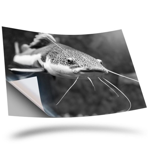 Vinyl sticker bw - -,