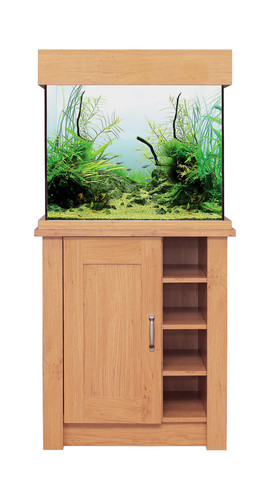 Display aquaone oakstyle - display,