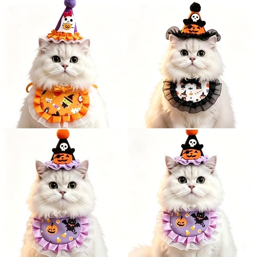 Halloween cat costume pumpkin - cat,