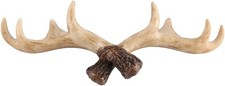 Vintage Deer Antlers Wall