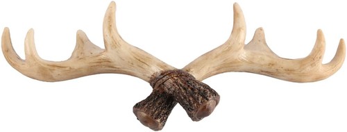 Vintage deer antlers wall - deer,