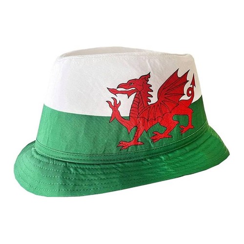 Welsh job lot - welsh,