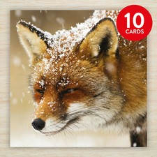 Fox Christmas Card & Packs