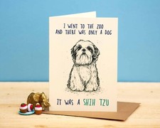 Funny Zoo with One Dog Shih