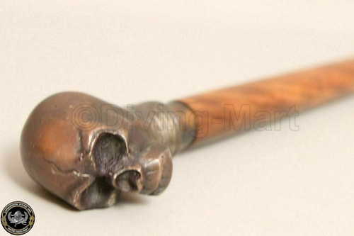 Designer monkey skull - monkey, head