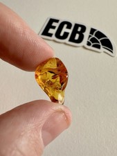 Baltic Amber With Mosquito Inclusion. 100% Real, No Fakes. Uk Seller 🇬🇧