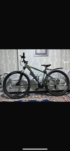 Raleigh men mountain - mountain,