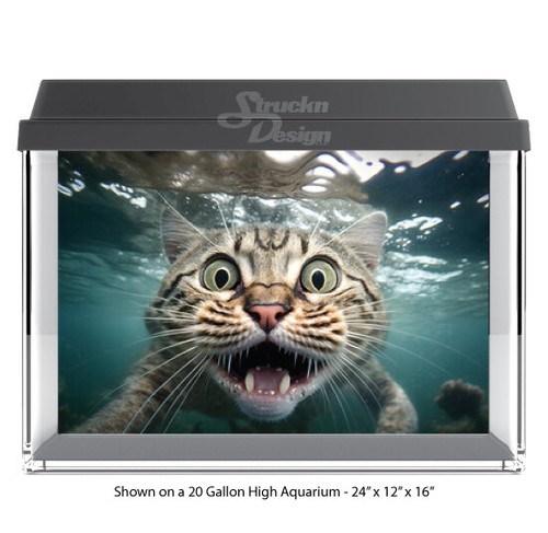 Funny scared striped cat - funny,