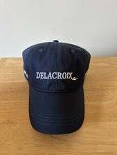 Delacroix Coolmore Stallion