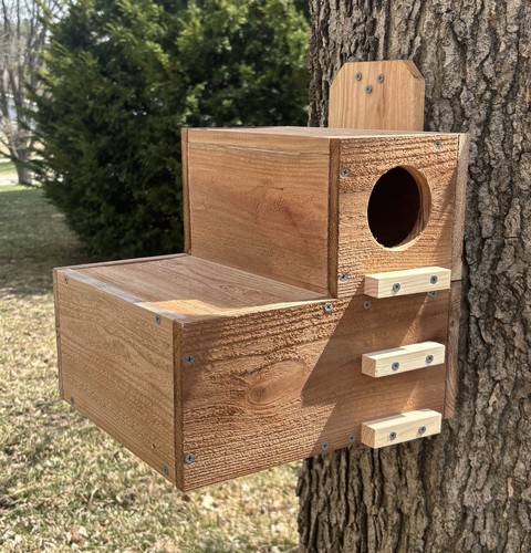 Large solid cedar backyard - solid,