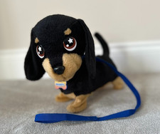 Animagic Waggles the Dog