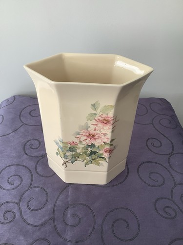 Park rose bridlington cream - rose,
