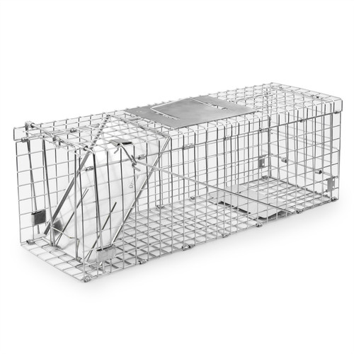 Squirrel trap humane - humane, no