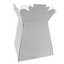 Bouquet Flower Boxes - Living Vase Easter Florist Box Sweet Gift Present