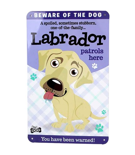 Labrador yellow novelty beware - labrador,