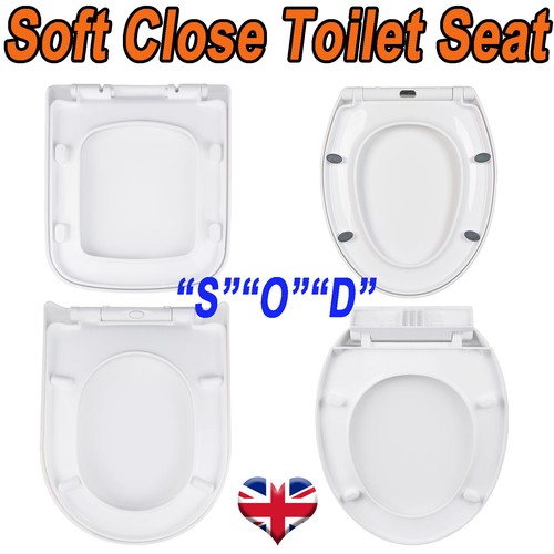 New toilet seat - toilet,