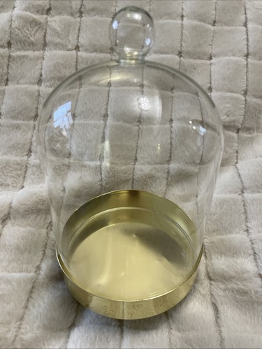 Display glass cloche bell jar - cloche,