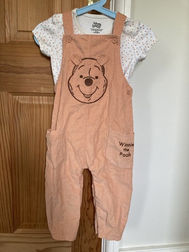Disney baby winnie the pooh - baby,