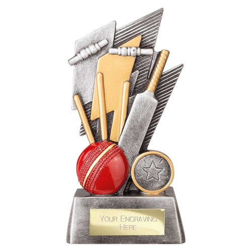 Cricket award bat - award, &