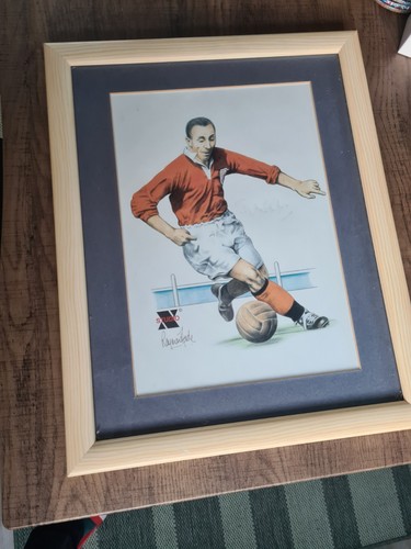 Sir stanley matthews - sir,