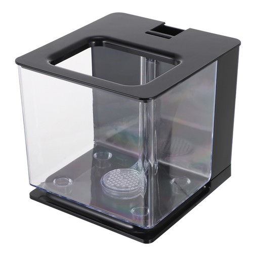 Durable acrylic table fish - acrylic,