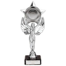 Victory Star Trophies Multisport Achievement Awards 2 Sizes FREE Engraving